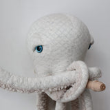 Octopus 24 in, Albino