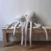 Octopus 24 in, Albino