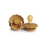 Pacifier Daisy, Honey Gold