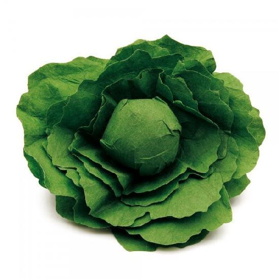 Butterhead Lettuce