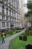 NYC Family Guide