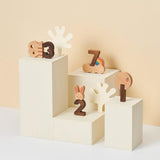 Numbers Play Block Set