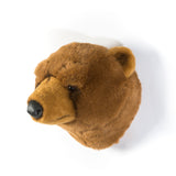 Brown Bear Trophy