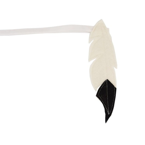 Feather Headdress, Black